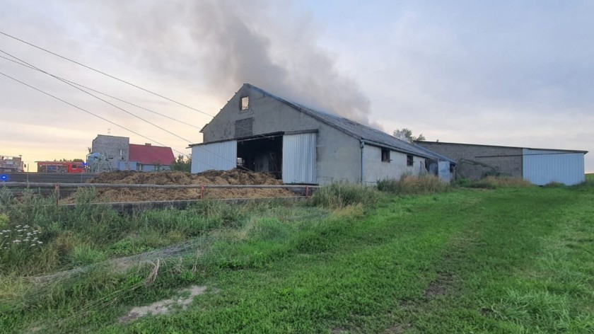 Pożar budynku gospodarczego w Lubni w gminie Brusy. W akcji kilkanaście zastępów straży pożarnej