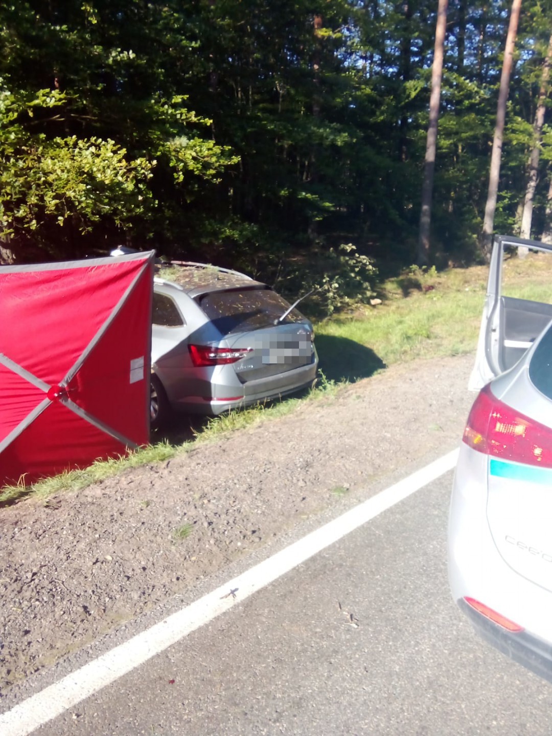 Samoch&oacute;d uderzył w łosia, a następnie w drzewo. W zdarzeniu na drodze krajowej nr 20 zginął kierowca auta