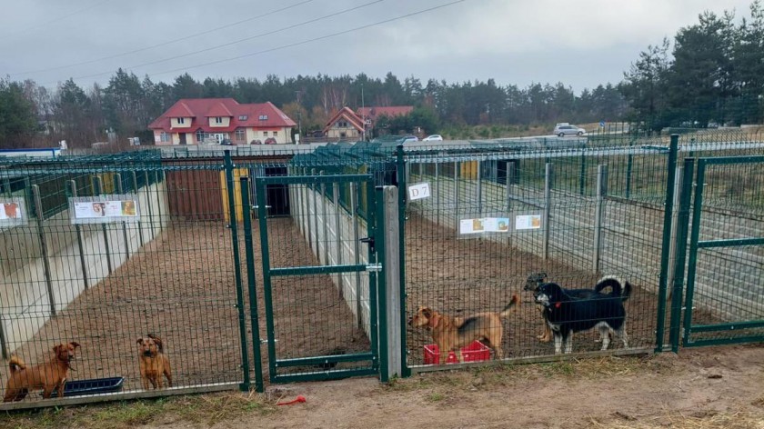 Dzięki pomocy darczyńców w Schronisku dla zwierząt w Kościerzynie pojawiła się nowa studnia