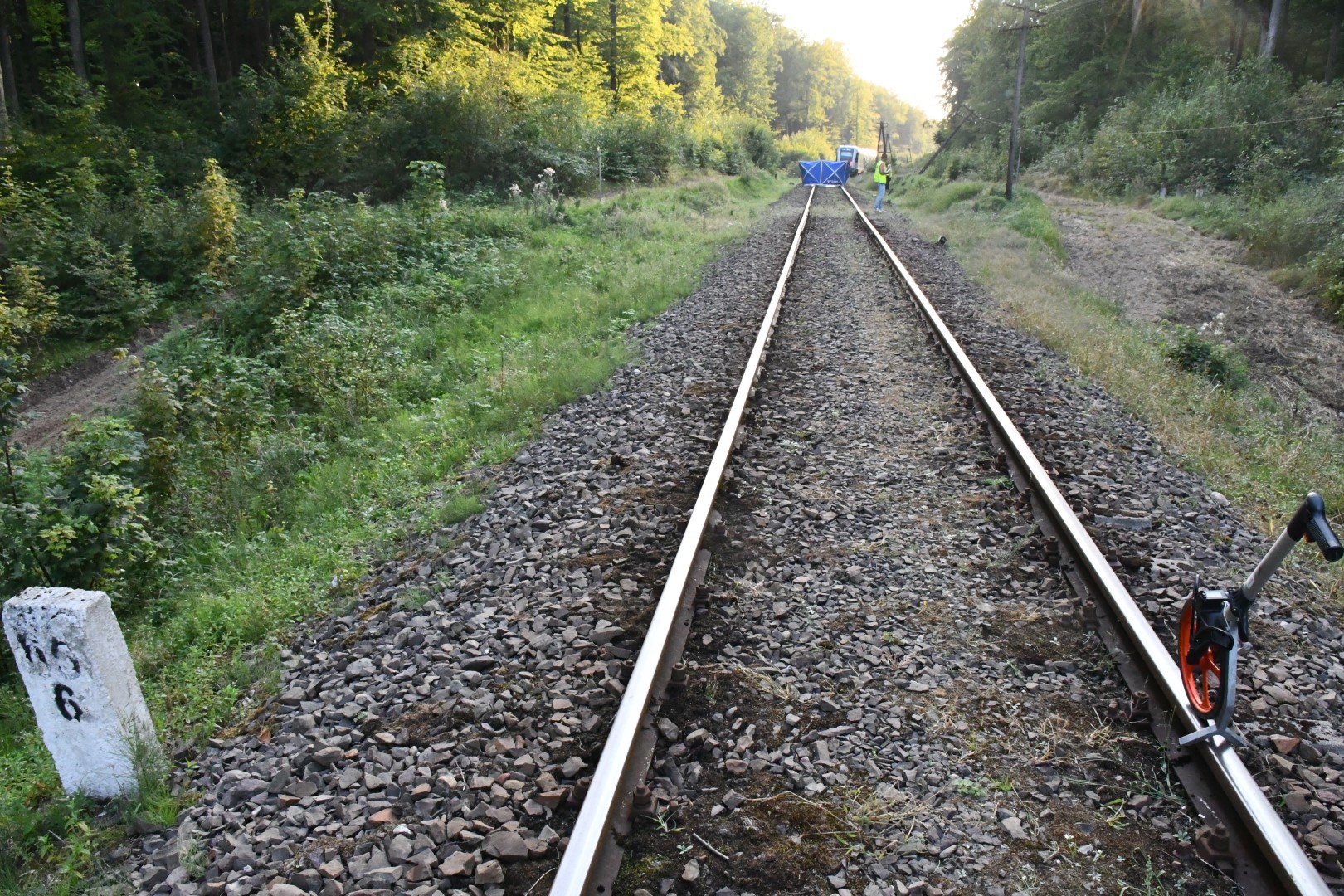 Pociąg śmiertelnie potrącił kobietę. Tragiczny wypadek na torach w Kościerzynie