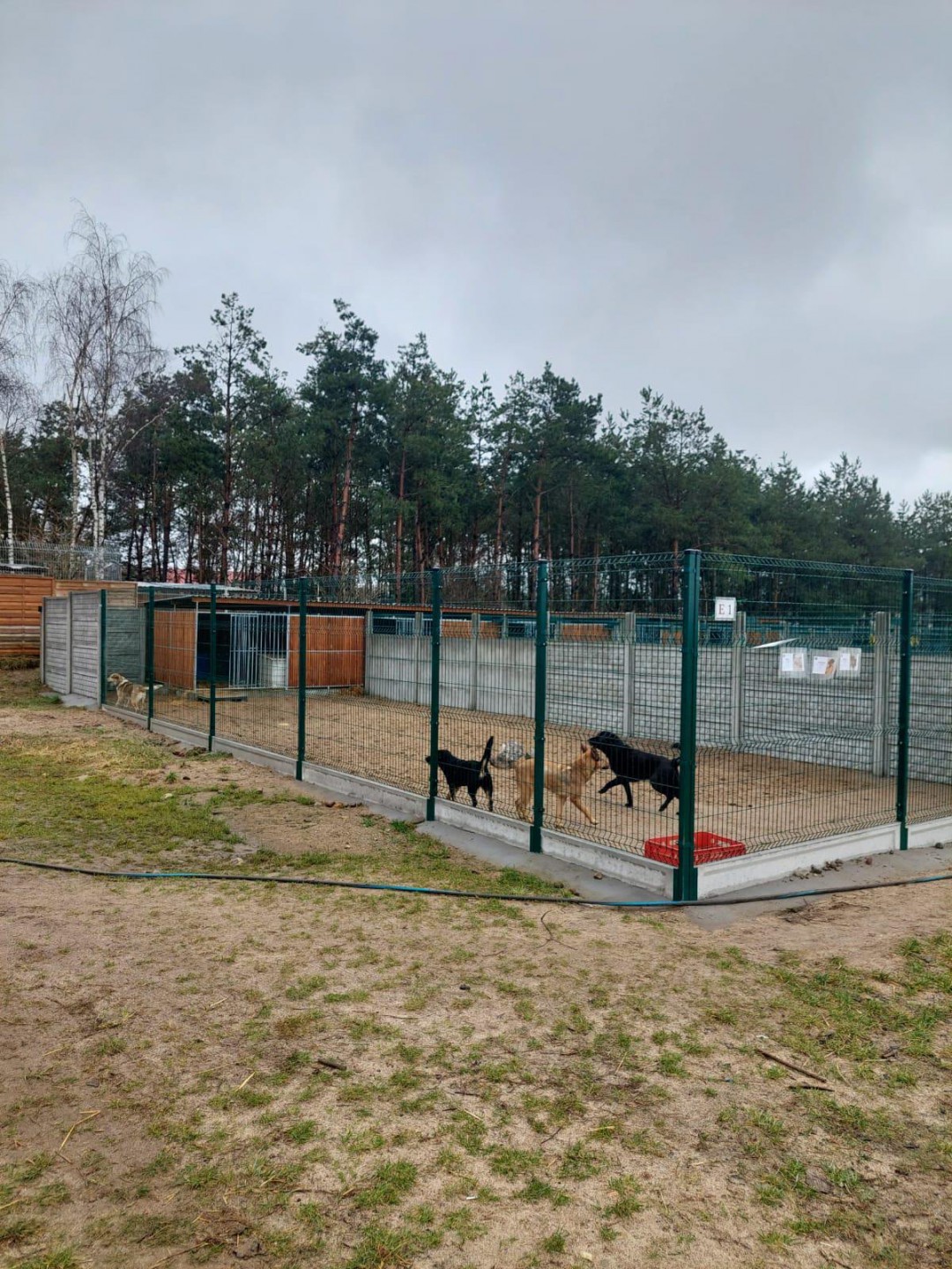 Dzięki pomocy darczyńc&oacute;w w Schronisku dla zwierząt w Kościerzynie pojawiła się nowa studnia