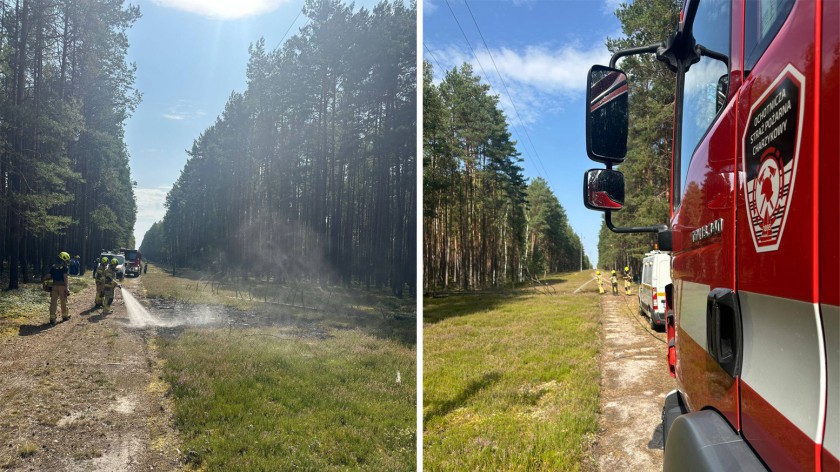 Pożar poszycia na skraju lasu w gminie Chojnice. Przyczyną było zerwanie linii energetycznej