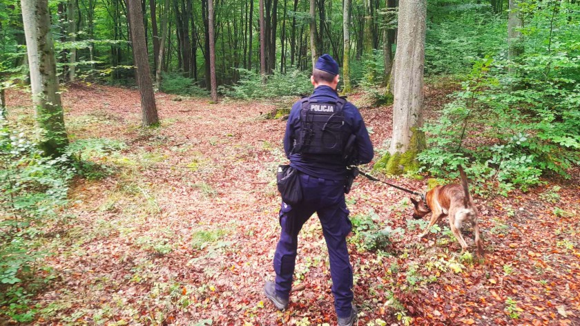 Mieszkanka Krakowa zgubiła się w lesie, w gminie Karsin. 53-latkę odnaleźli policjant z kościerskiej komendy i jego pies służbowy