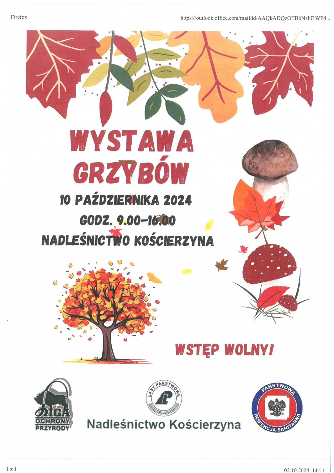 Kilkadziesiąt gatunk&oacute;w grzyb&oacute;w będzie można obejrzeć jutro (10.10.) na wystawie w Kościerzynie