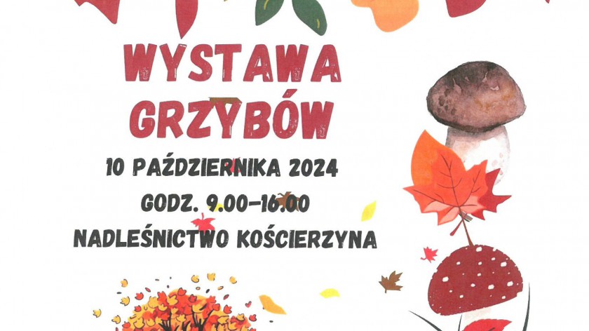 Kilkadziesiąt gatunków grzybów będzie można obejrzeć jutro 10.10. na wystawie w Kościerzynie