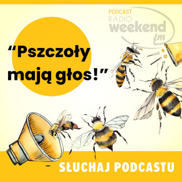 Kafelek audycji: Pszczoły mają głos!