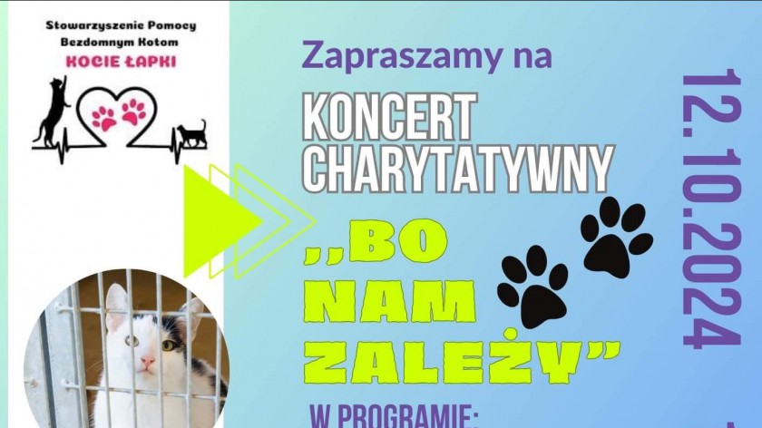 W sobotę 12.10. w Chojnicach charytatywny koncert Bo nam zależy. Zebrane pieniądze zostaną przekazane na azyl dla bezdomnych kotów