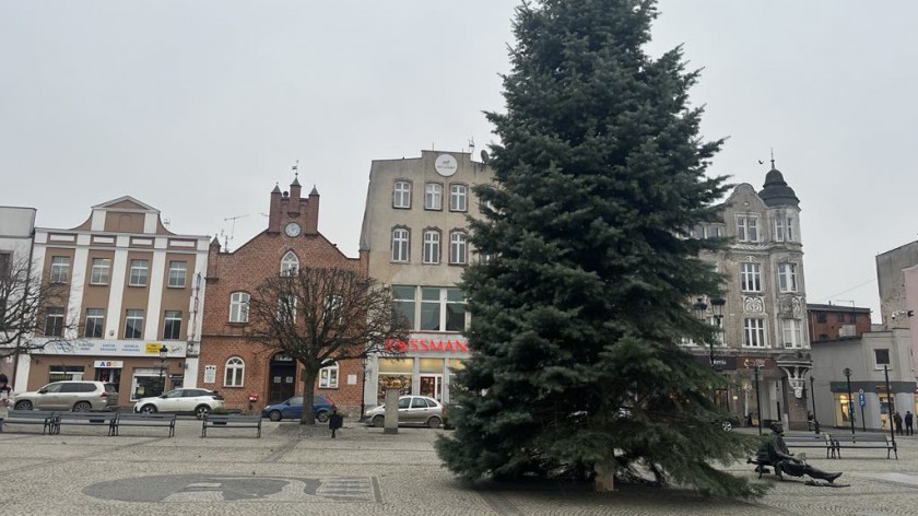 Kościerzyna stroi się na święta. W centrum miasta stanęła wczoraj 12-metrowa jodła FOTO