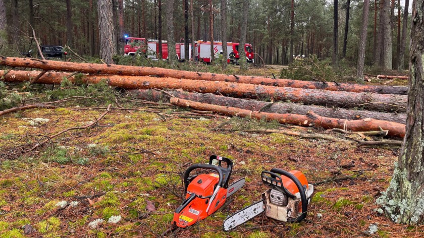 Wypadek podczas prac leśnych w Kwiekach w gminie Czersk