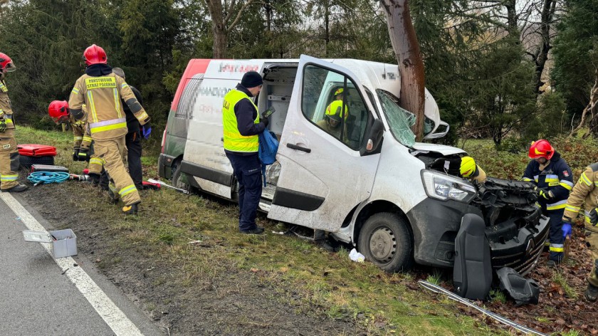 Samochód dostawczy uderzył w drzewo na krajowej 20 w Tuchomiu. Kierowca trafił do szpitala