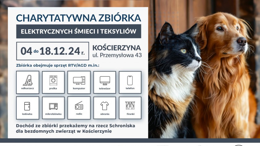 Potrzebują pieniędzy na remont szpitala dla zwierząt. Rusza charytatywna zbiórka tekstyliów i elektrośmieci w schronisku dla zwierząt w Kościerzynie