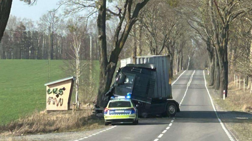 Dwie ciężarówki zderzyły się na granicy gmin Czarne i Człuchów. Jedna z nich zakończyła jazdę na drzewie