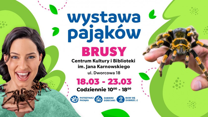 Od dziś 18.03. w Brusach oglądać można egzotyczne gatunki pająków