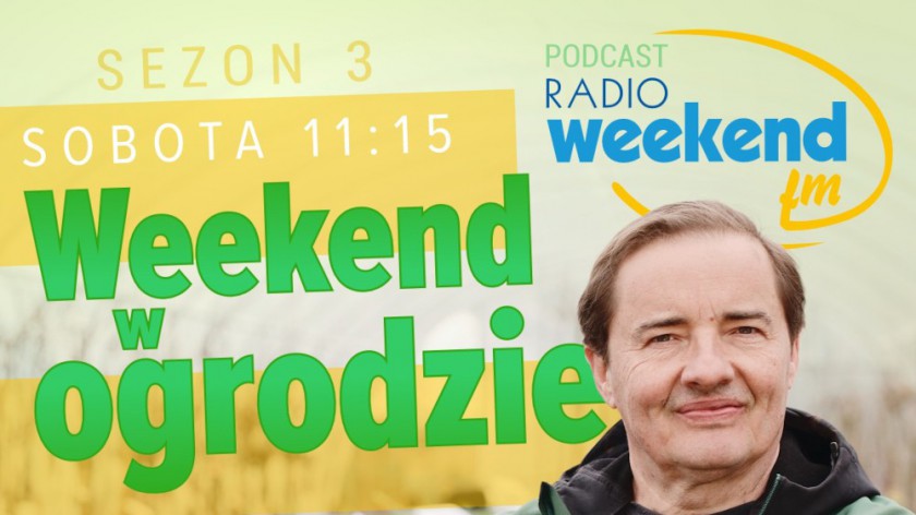 Weekend w ogrodzie, odcinek 5. Powracamy do tematu doboru roślin na taras