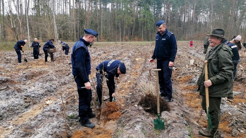 Akcja sadzenia lasu w Nadleśnictwie Trzebciny zakończona sukcesem. Wzięli w niej udział m.in. tucholscy policjanci