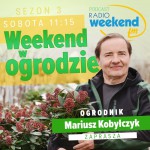   | Weekend w ogrodzie, odcinek 4. Rośliny w donicach na taras. Jak je dobrać i jak sadzić?