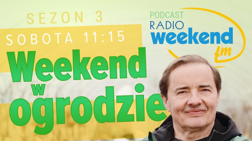 Weekend w ogrodzie, odcinek 2. Jak dobrać drzewa i krzewy owocowe do ogrodu?