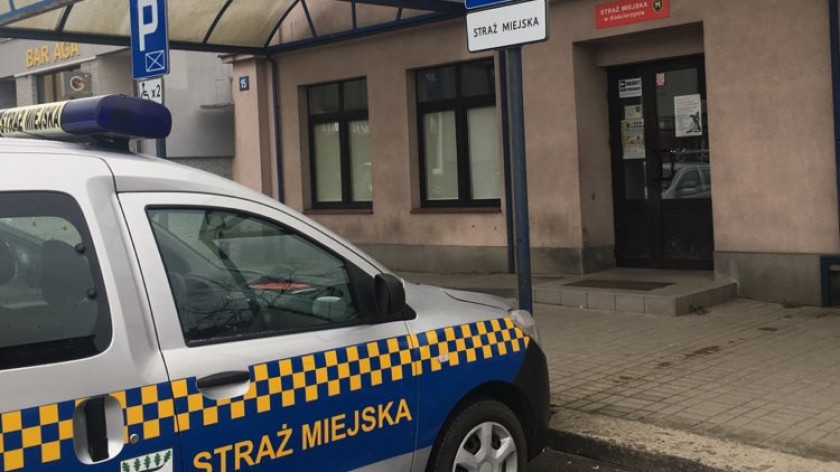 Pies w typie amstaffa zagryzł mniejszego psa w Kościerzynie. Radna zarzuca straży miejskiej nieudolne działania