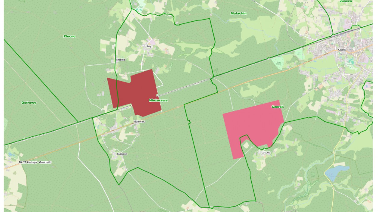 Nadleśnictwa w regionie wprowadzają czasowy zakaz wstępu do lasu. Będą zabiegi ochronne przeciw szkodnikom