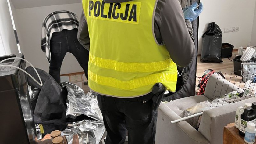 Uprawiał konopie indyjskie w wynajmowanym domu. Policjanci z Człuchowa zatrzymali mieszkańca Chojnic