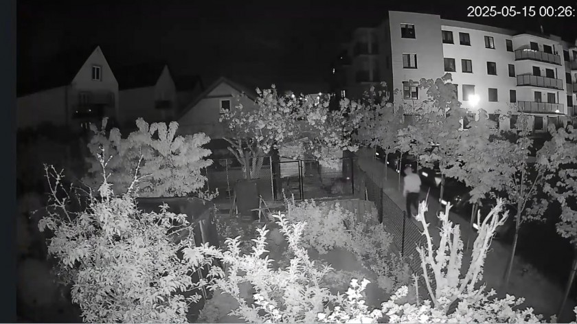 Oblał psa sąsiadów farbą. Mieszkaniec Człuchowa odpowie za znęcanie się nad zwierzęciem