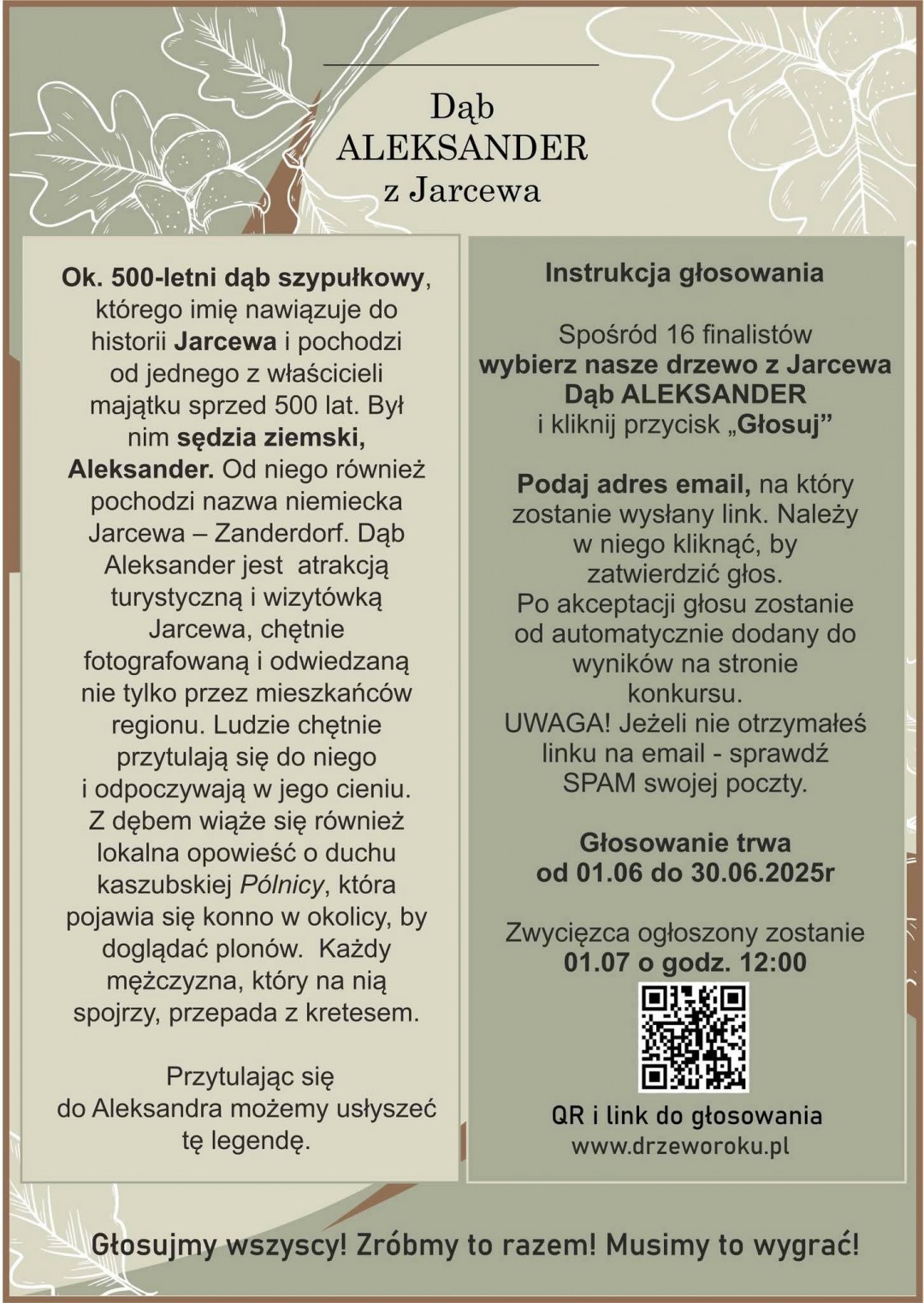 W niedzielę (15.06.) piknik pod koroną dębu Aleksander w Jarcewie
