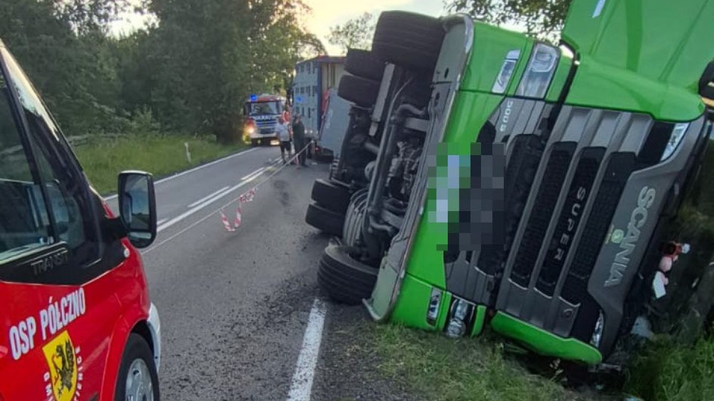 Dwie osoby ranne w wypadku na DK 20 w powiecie bytowskim. Na trasie Łąkie - P&oacute;łczno ciężar&oacute;wka ze świniami uderzyła w dostawczaka (FOTO)