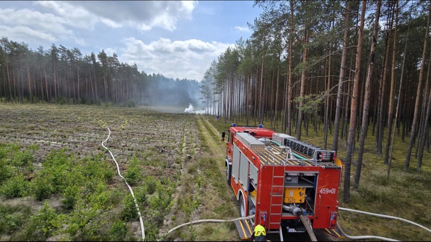 Służby ćwiczyły walkę z pożarami lasów na terenie Nadleśnictwa Lipusz. Celem było doskonalenie umiejętności FOTO