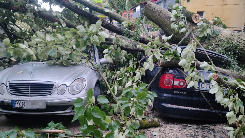 Strażacy z regionu interweniowali po silnym wietrze. Najpoważniejsze zdarzenia odnotowano w Tucholi i powiecie człuchowskim FOTO