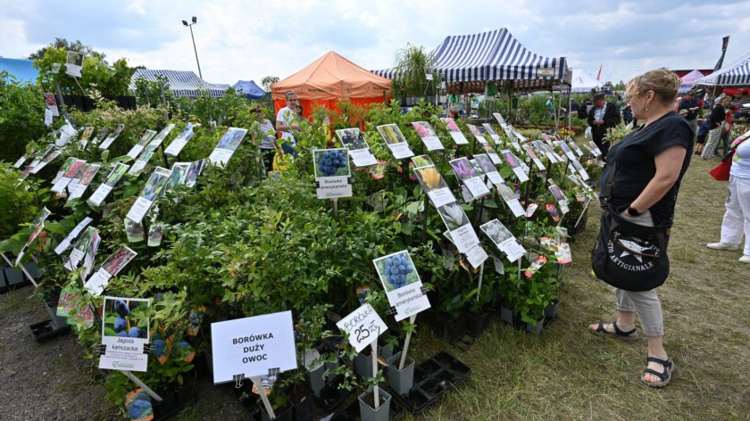 W najbliższy weekend w Lubaniu odbędą się Pomorskie Agro Targi. Spodziewamy się od 180 do 200 wystawców ogrodniczych