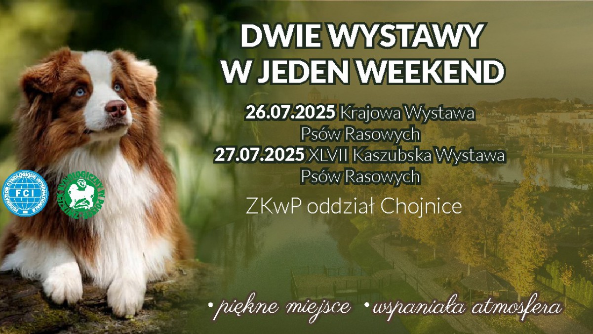W sobotę (26.07.) i niedzielę (27.07.) w Chojnicach dwie prestiżowe wystawy ps&oacute;w rasowych