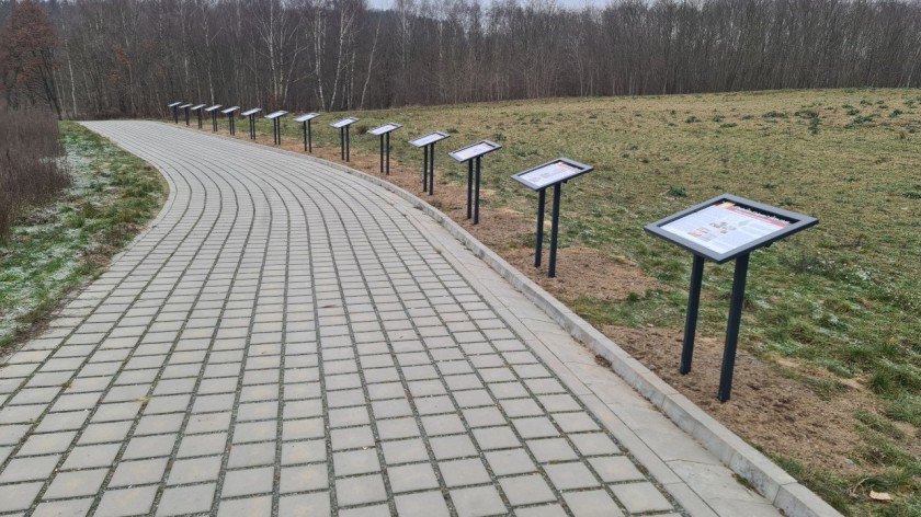 Dąb pamięci będzie symbolicznym uhonorowaniem ofiar z chojnickiej Doliny Śmierci