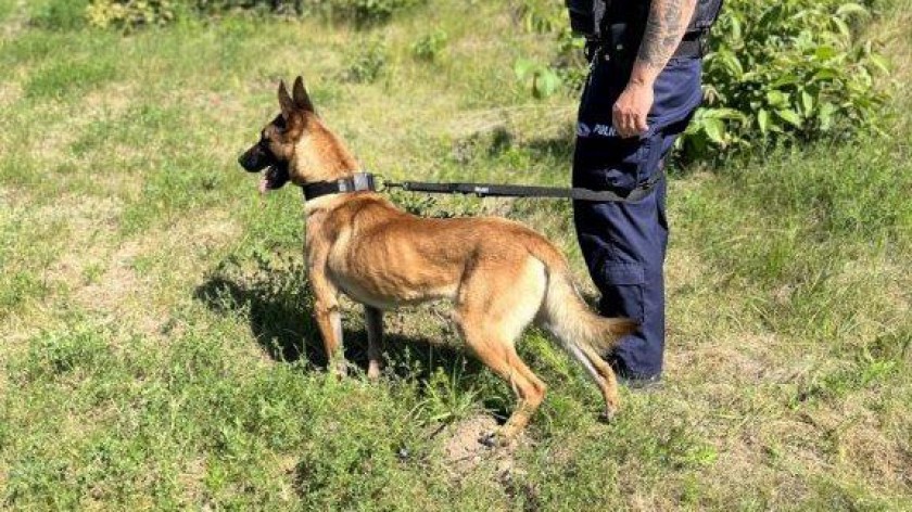 Do człuchowskiej policji dołączył kolejny pies tropiący