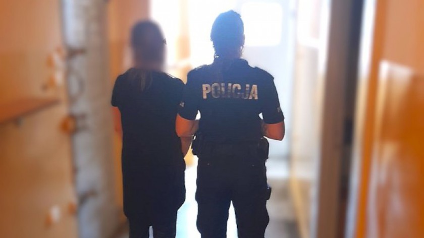 Ukradła defibrylator z dworca w Kościerzynie. Szybko go oddała, ale sąd i tak ją ukarał