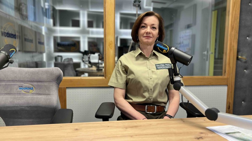 Jak przemieszczają się zwierzęta i nie tylko. Park Narodowy Bory Tucholskie i radio Weekend FM wspólnie przygotowali podcasty na temat korytarzy ekologicznych 
