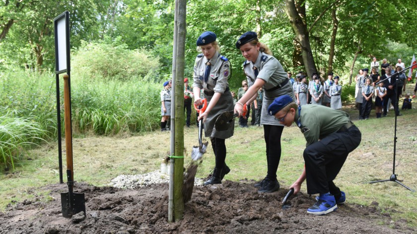 W chojnickiej Dolinie Śmierci posadzono &quotdąb pamięci". Drzewo upamiętnia ofiary niemieckiego terroru z 1945 roku FOTO