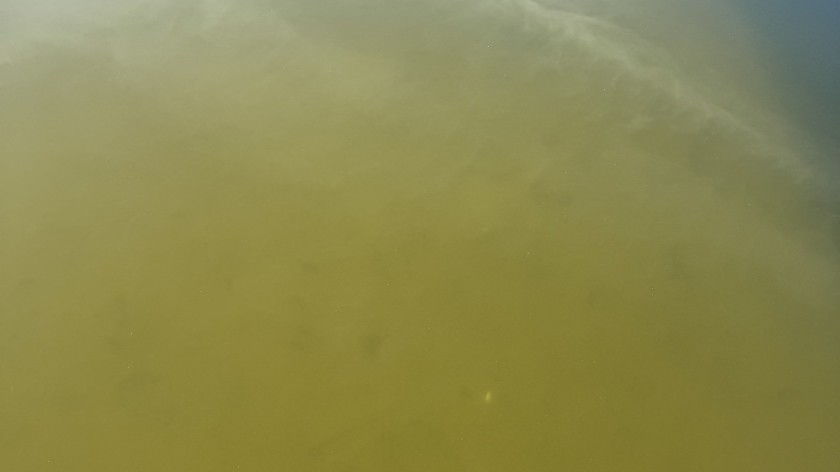 Woda w kąpielisku nad jeziorem Mochel w Kamieniu Krajeńskim nadal nie nadaje się do kąpieli