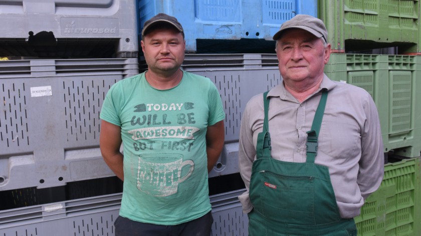 Weekend na polu, odcinek 8. Niektóre odmiany nie sprostały warunkom. O tegorocznym sezonie truskawkowym