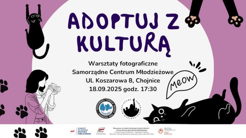 Nauka fotografii i pomoc bezdomnym kotom. W Chojnicach rusza akcja Adoptuj z kulturą