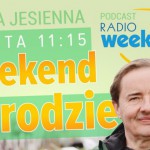   | Weekend w ogrodzie, edycja jesienna. Odcinek 2. Jesienne sadzenie traw ozdobnych