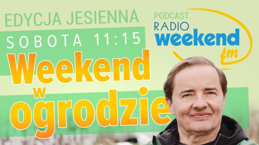 Weekend w ogrodzie, edycja jesienna. Odcinek 1. Cebule kwiatowe