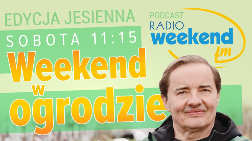 Weekend w ogrodzie, edycja jesienna. Odcinek 4. Sadzimy wrzosy i chryzantemy 