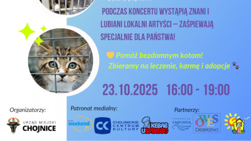 Dzisiaj 23.10 w Chojnickim Centrum Kultury druga edycja koncertu &quotBo nam zależy". Można pomóc bezdomnym kotom
