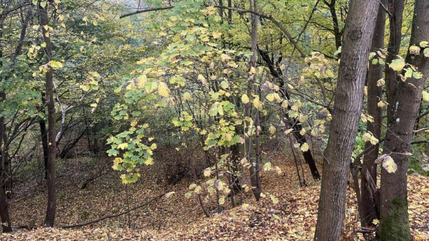 Jeszcze w tym roku mają się rozpocząć prace dotyczące koncepcji zagospodarowania terenu za Urzędem Miasta w Kościerzynie