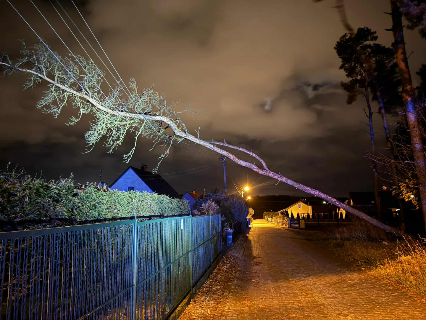 Silny wiatr w regionie. Konar spadł na busa na drodze wojewódzkiej 212 w gminie Chojnice (FOTO)