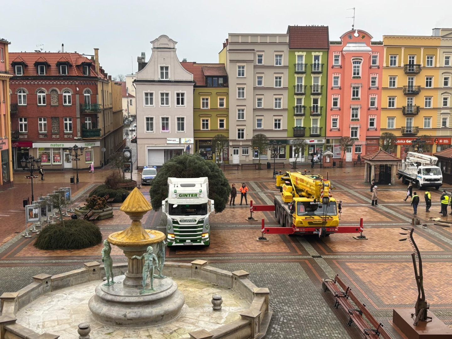 Na chojnickim Starym Rynku stanęło już świąteczne drzewko. Uroczyste rozświetlenie zaplanowano w Mikołajki
