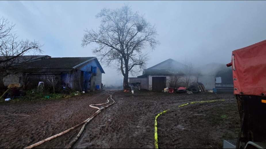 Na około 2 mln zł oszacowano wstępnie straty po pożarze chlewni w Karsinie, w powiecie kościerskim. Trwa ustalanie przyczyn pożaru