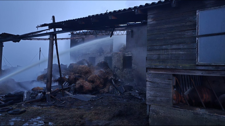 Płonie chlewnia w Karsinie, w powiecie kościerskim. Z ogniem walczy kilkanaście zastępów straży pożarnej FOTO
