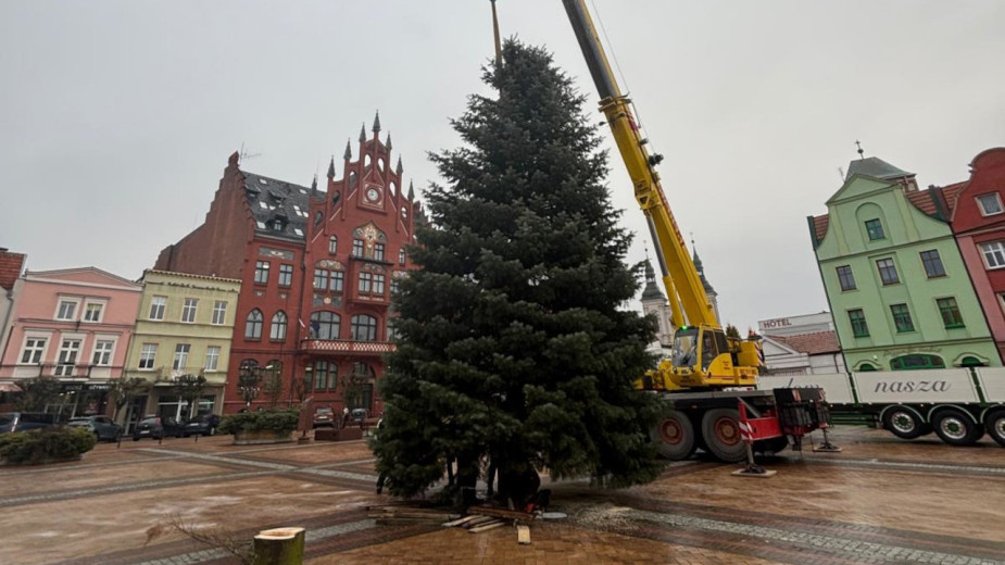 Na chojnicki Starym Rynku stanęło już świąteczne drzewko. Uroczyste rozświetlenie zaplanowano w Mikołajki
