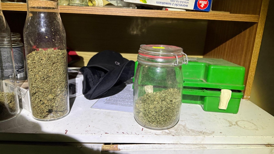 Pożar komina zdradził hodowców konopi. Nielegalna uprawa zlikwidowana w gminie Debrzno FOTO, WIDEO